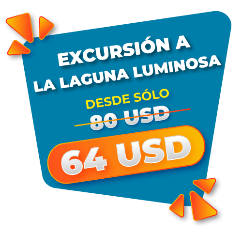 excursión a la laguna luminosa - precio