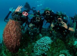 family diving in the Caribbean (2)