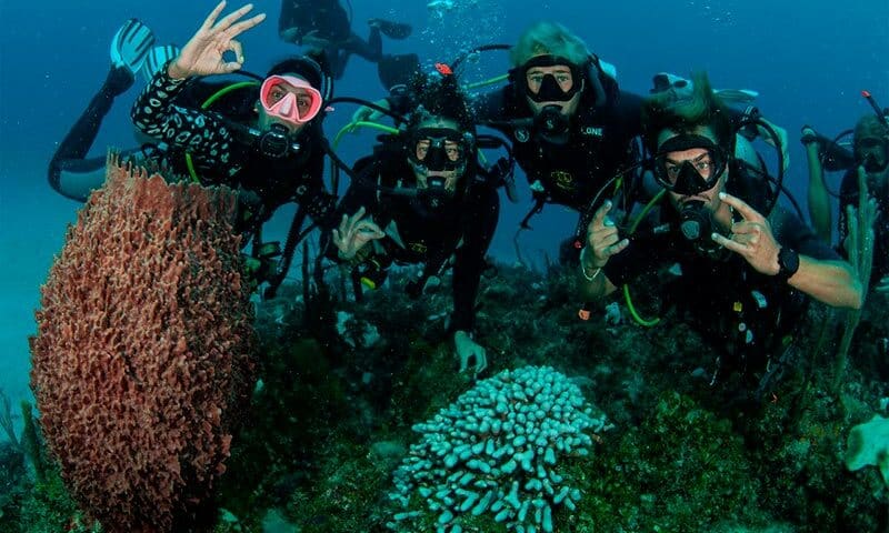 family diving in the Caribbean (2)