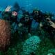 family diving in the Caribbean (2)