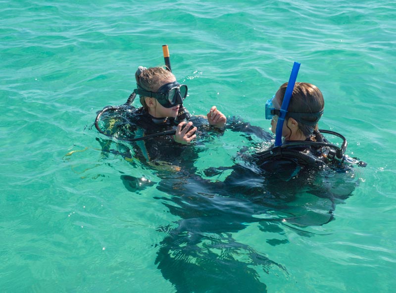 family diving in the caribbean