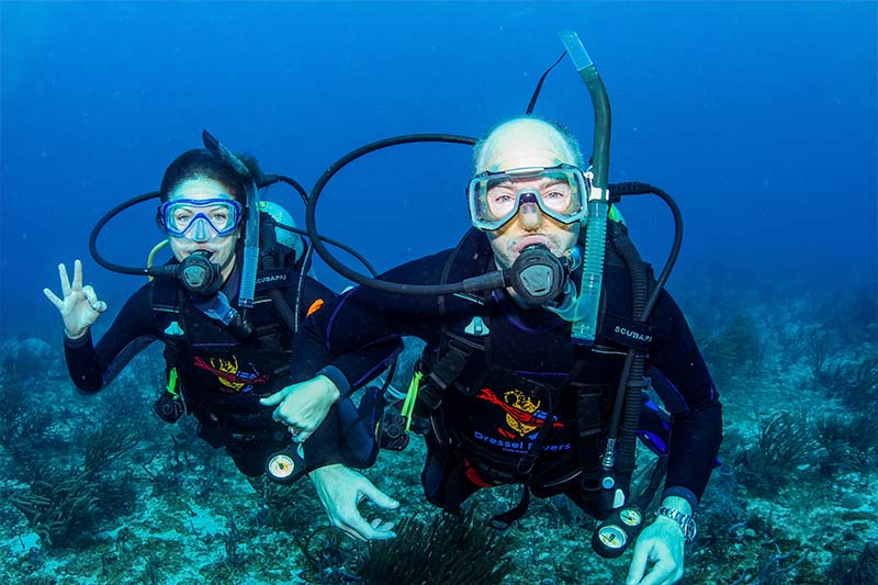 ind a Dive buddy - 2 - encontrar el compañero de buceo perfecto