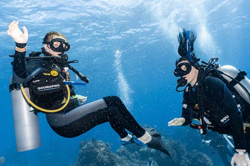 find a Dive buddy - encontrar el compañero de buceo perfecto