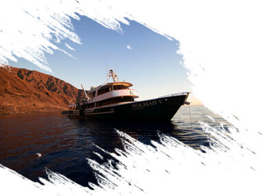 LIVEABOARD DIVING MEXICO