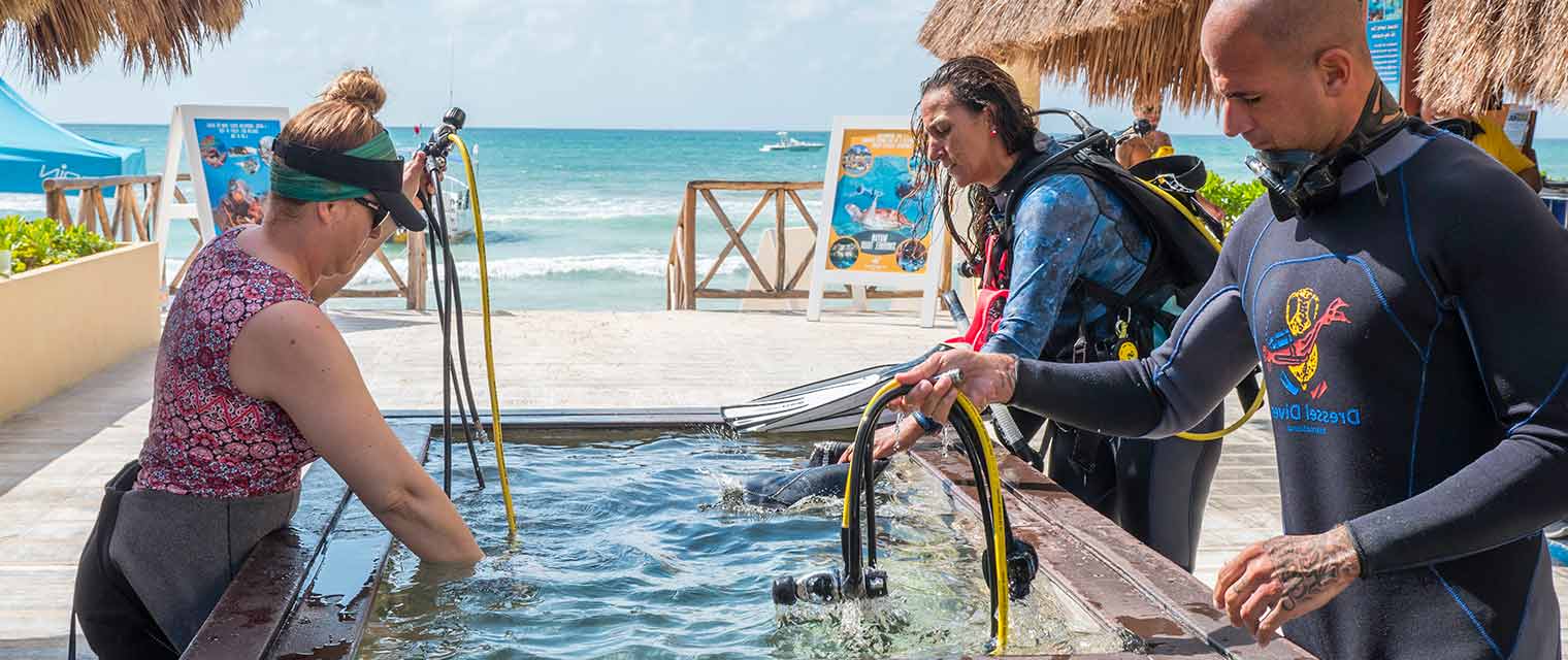 DIVE RESORTS in MEXICO All Inclusive Stay & Dive with Dressel Divers