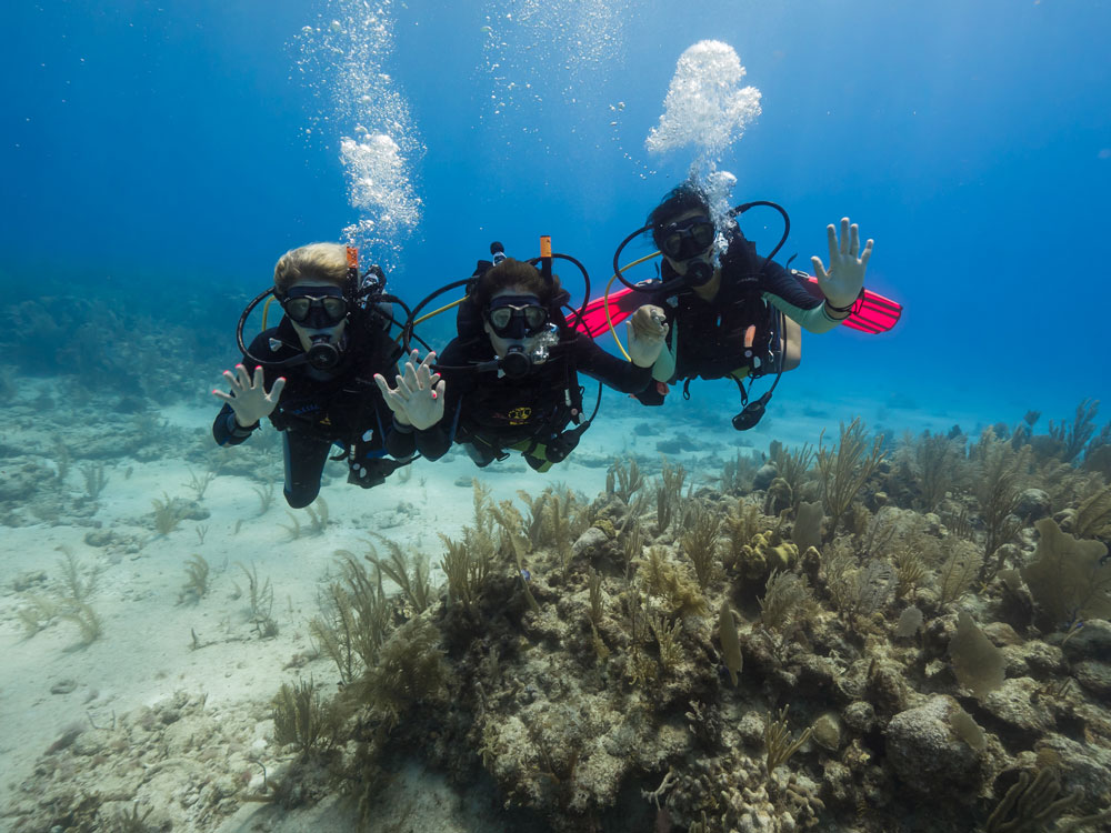 Get Scuba Certified Everything You Need to Know.
