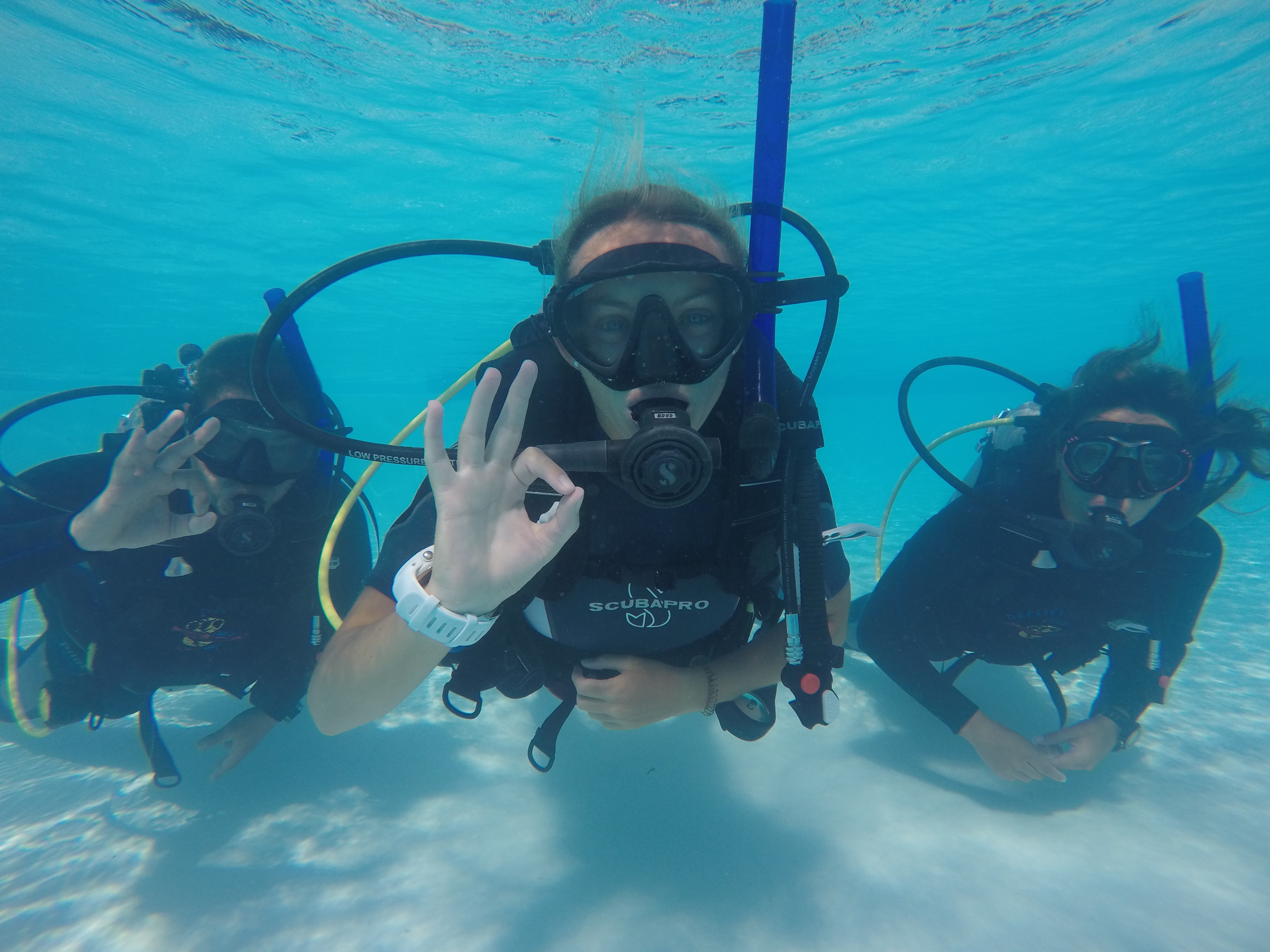 Get Scuba Certified Everything You Need to Know.