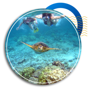 good snorkeling in the caribbean - saona