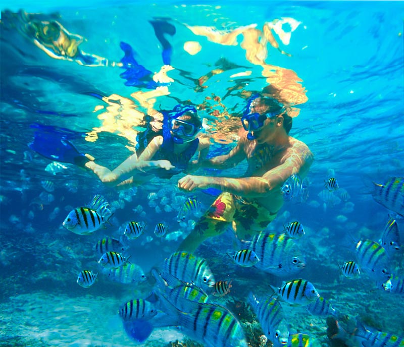 good snorkeling in the Caribbean - 2