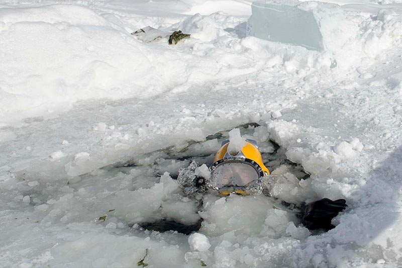 ice diving (2) buceo en hielo