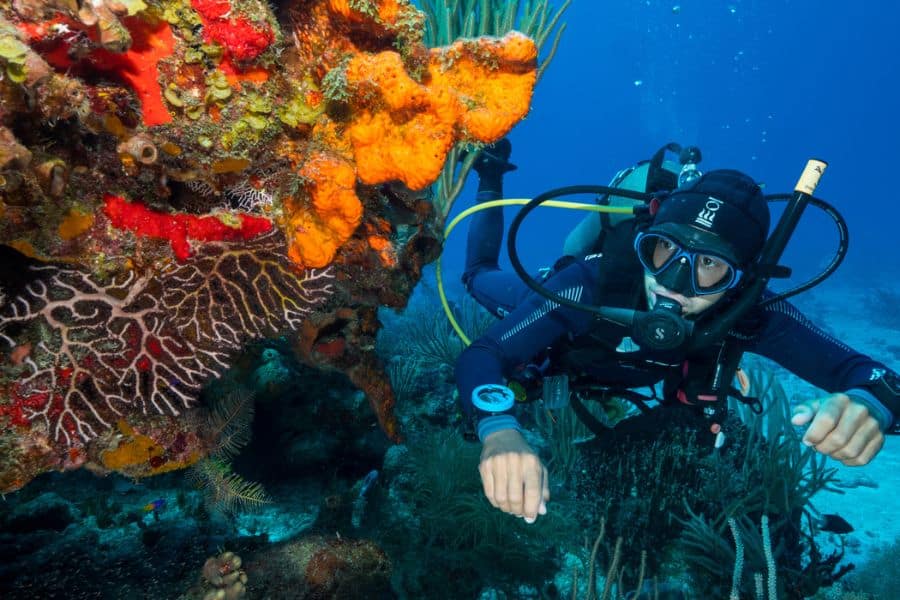 Fotografías de aguas profundas - Cozumel
