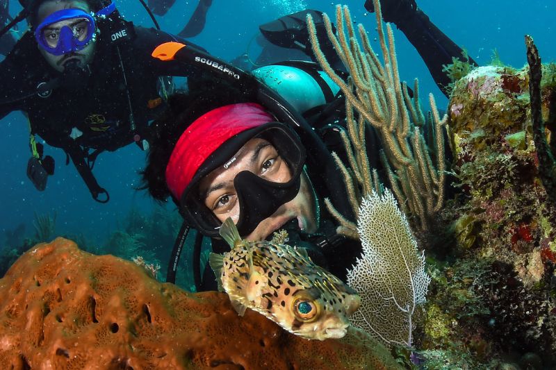 is scuba diving a sport (4) es el buceo un deporte