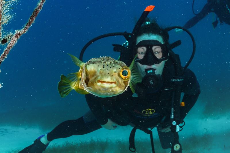 is scuba diving a sport (5) es el buceo un deporte