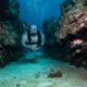 jamaica's coral reefs - arrecifes de coral de Jamaica