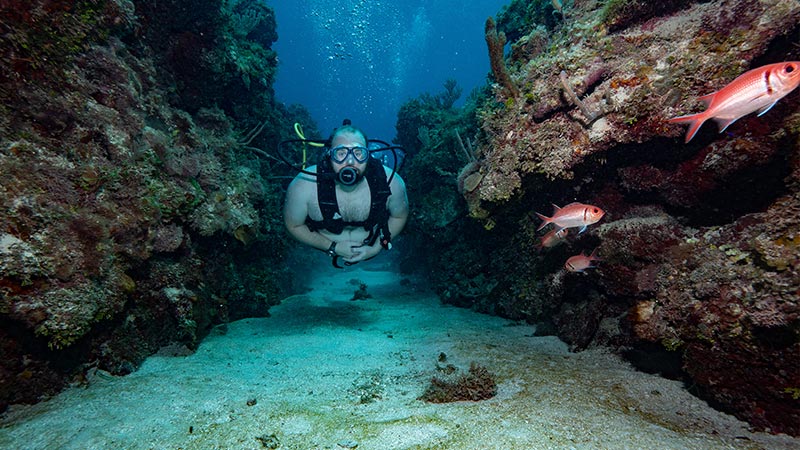 jamaica coral reefs - arrecifes de coral de Jamaica