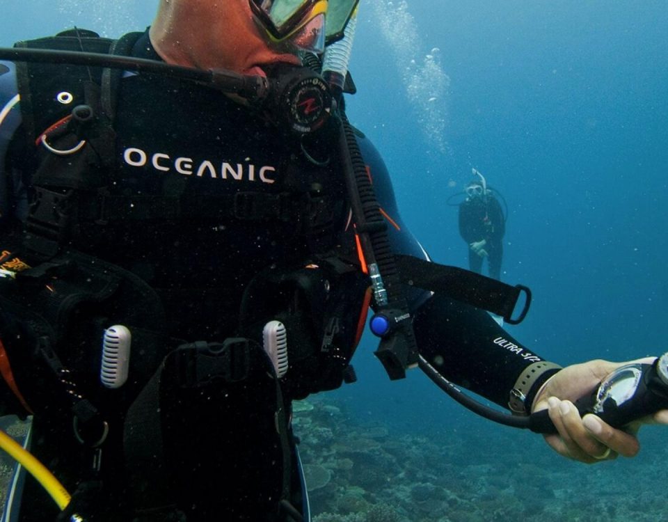 la importancia de la brújula en el buceo - foto principal