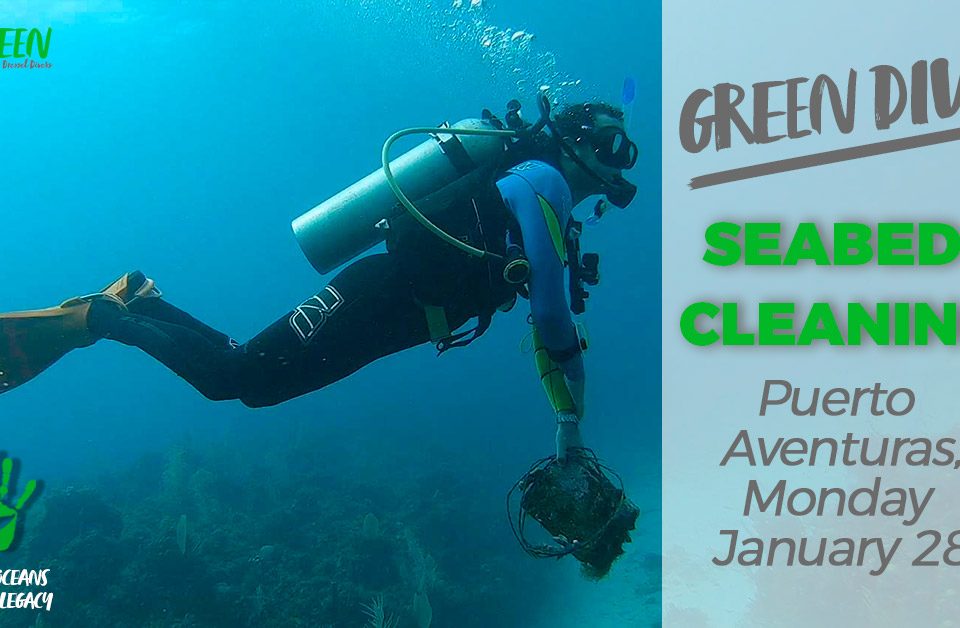 Seabed Cleaning Puerto Aventuras