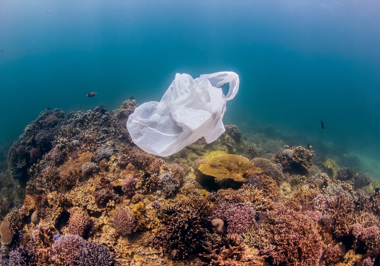 Seabed Cleaning In Jamaica - Plastic