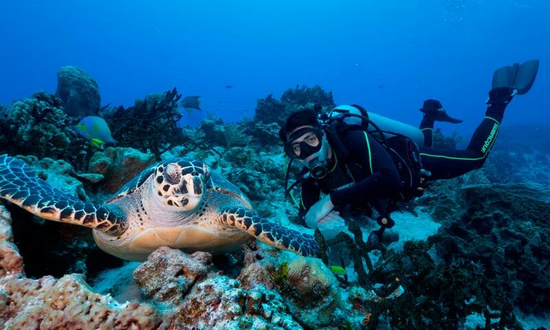 liveaboard cozumel (1) cruceros de vida a bordo en cozumel