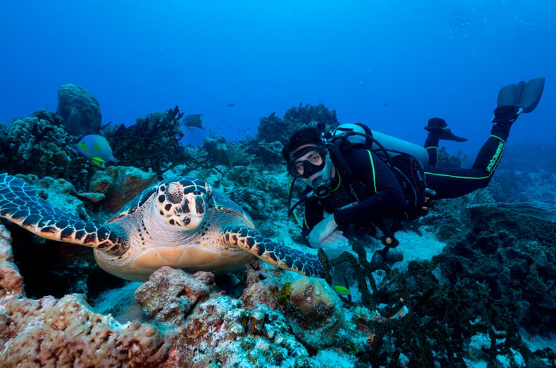 liveaboard in cozumel (1) cruceros de vida a bordo en cozumel