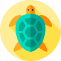 liveaboard diving - beautiful animals iveaboard diving - beautiful animals