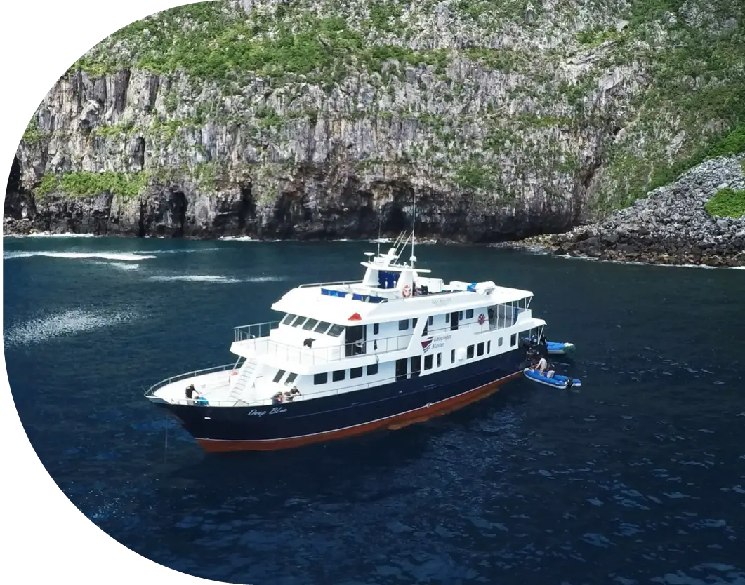 Liveaboard Diving - Dressel Divers slider