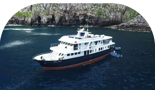 Liveaboard Diving - Dressel Divers slide