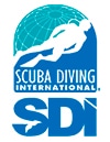 SDI - logo
