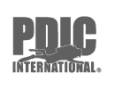 logos PDIC INTERNATIONAL