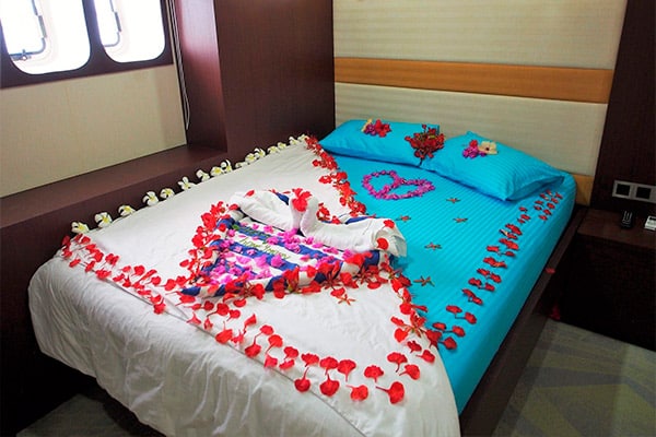 maldives liveaboard diving - LOWER DECK - DOUBLE BED CABIN