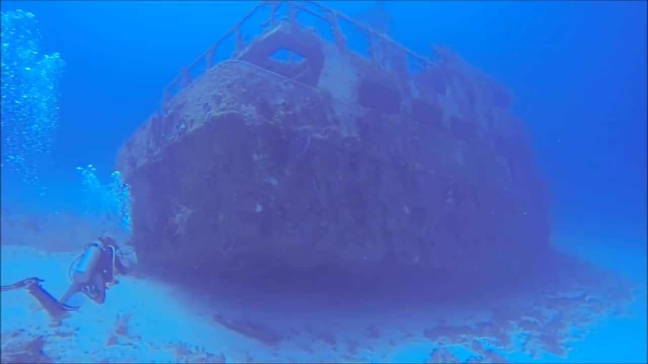 Caribbean Shipwrecks Mama Viña