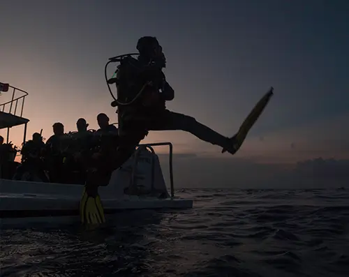 night diving in cozumel - fish - entering the sea - buceo nocturno en Cozumel