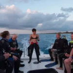 Night dive excursion in Cozumel - excursión de buceo nocturna en Cozumel