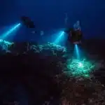 night dives Cozumel