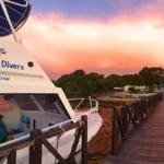 Nocturnal scuba diving Jamaica