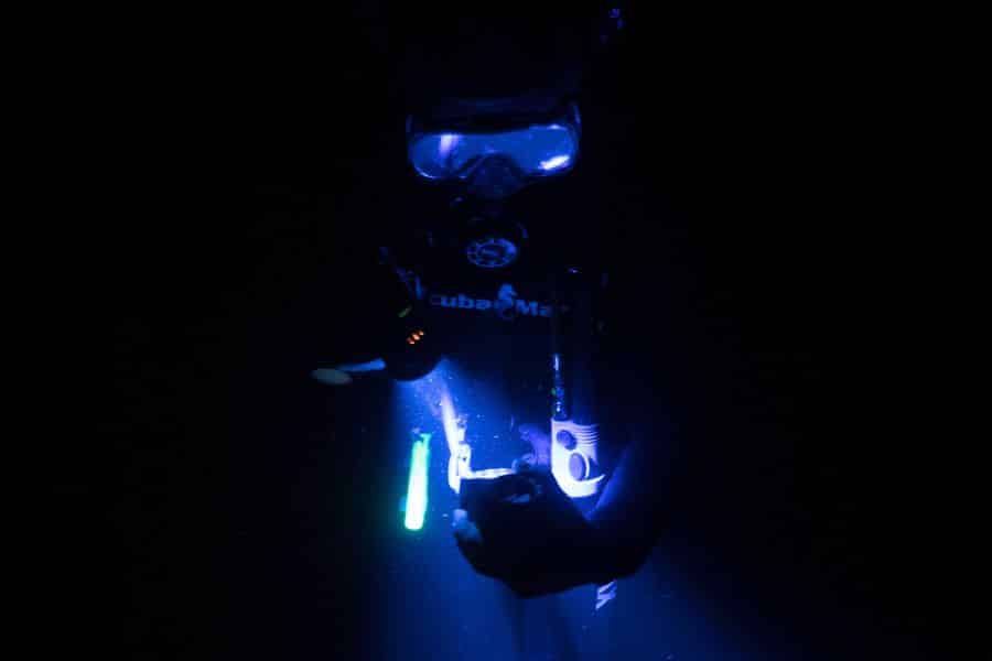night diving - buceo nocturno (2)