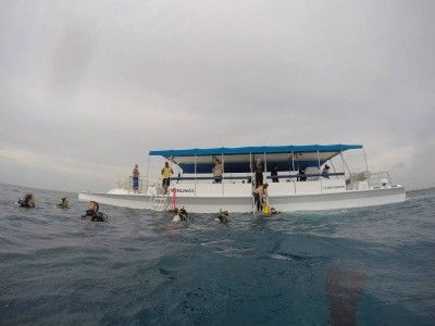 padi dive instructor courses - becas de instructor de buceo