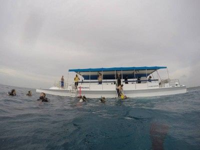 padi cours instructeur de plongée dressel