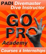PADI Go Pro