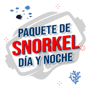 paquete de snorkel