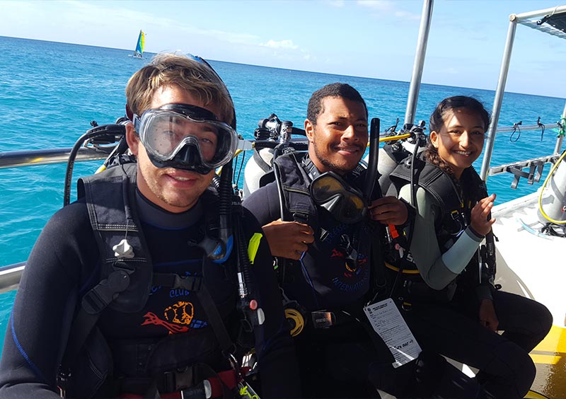 professional diving - certification levels - buceo profesional