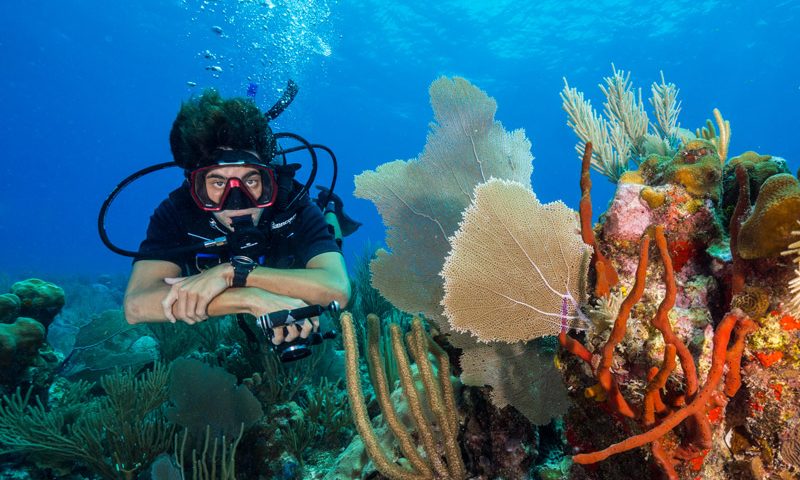 profundidad maxima open water padi - principal