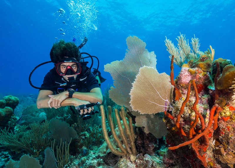 profundidad maxima open water padi - principal