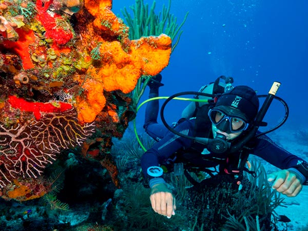 Scuba diving in Puerto Aventuras - Reef