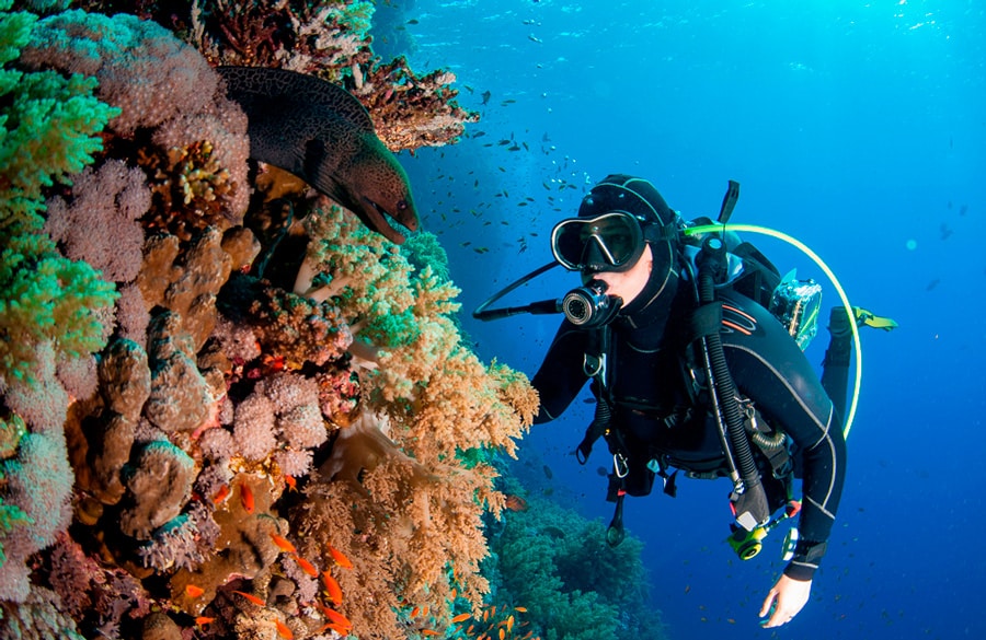 recreational diving - main