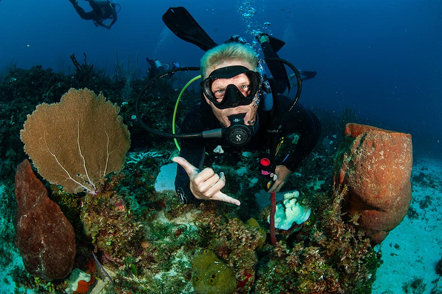 reef diving jamaica - buceo en arrecife
