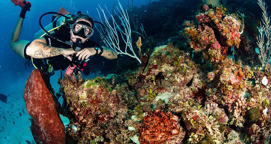 reef-diving-principal - buceo en arrecife