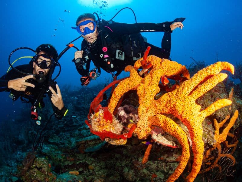 regulator recovery (7) recuperar el regulador cuando buceas