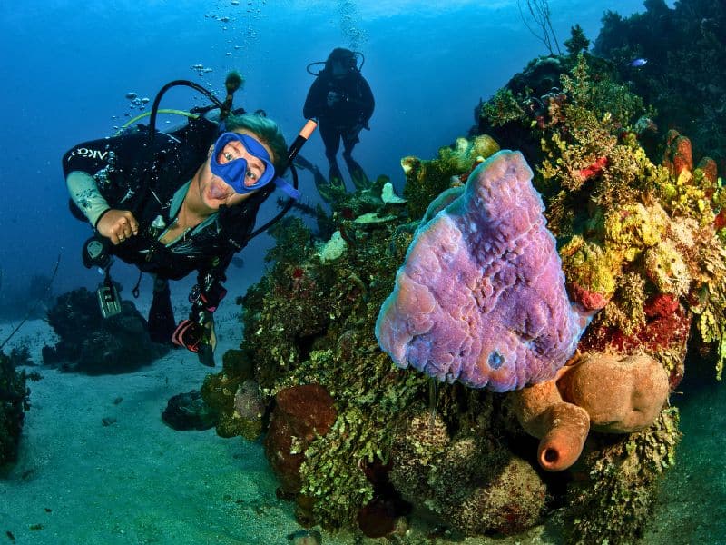 regulator recovery (8) recuperar el regulador cuando buceas