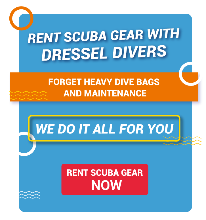 rent scuba gear - slide